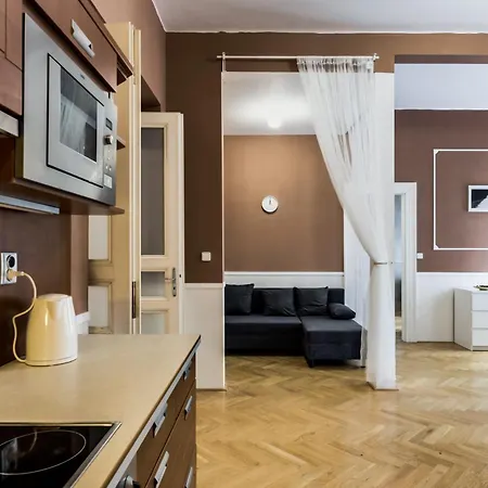 Large аpartment In The Center Of Prague. Praga