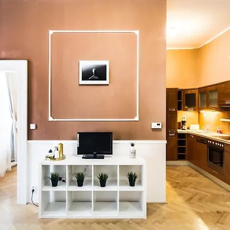 Large аpartment In The Center Of Prague. Appartement Prague